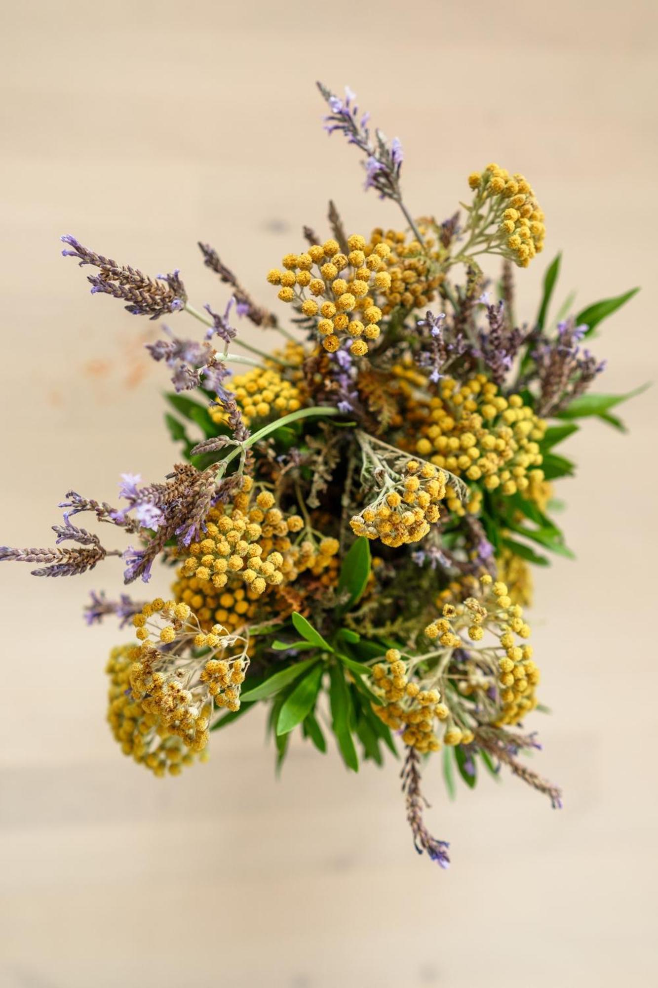فندق Casanaga Almaciga المظهر الخارجي الصورة